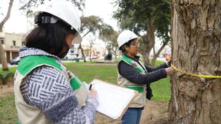 Realizan censo de árboles para promover su preservación en Magdalena | FOTOS 