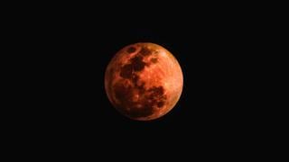 Eclipse lunar noviembre 2022: en qué ciudades del Perú se pudo ver la ‘Luna de sangre’ 