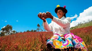 Los chips de papa nativa peruana que se producen a 3,800 metros de altura y se exportan al mundo