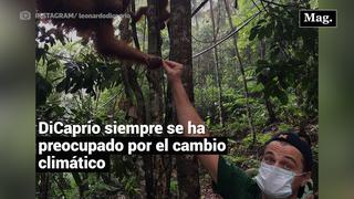 Leonardo DiCaprio dona US$5 millones para salvar la Amazonía tras los incendios