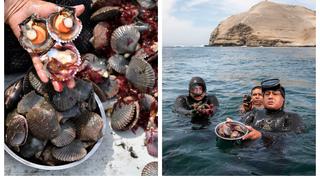 Los marisqueros chalacos que promueven el cuidado del ambiente desde las profundidades del mar 