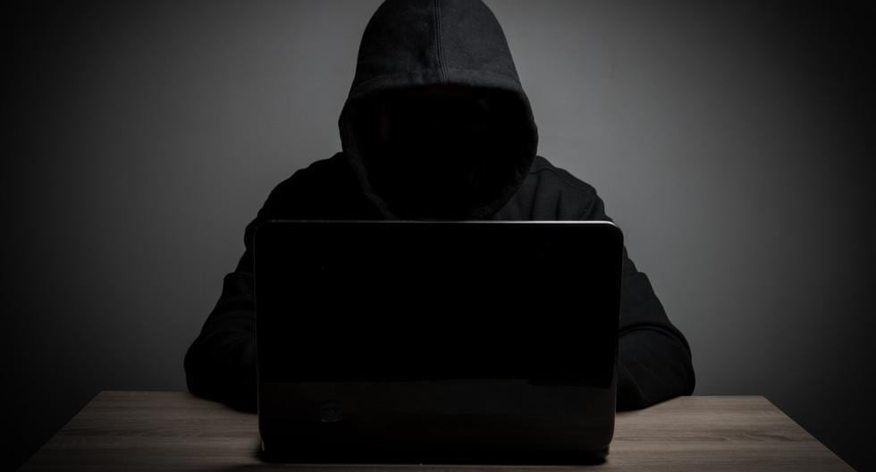Cybersecurity: London dismantles an online scam site that operated around the world |  LabHost |  phishing |  malware |  TECHNOLOGY