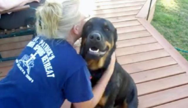 ¿Los perros ronronean? Este Rottweiler dejó boquiabiertos a todos por sus dotes "bilingües". (Fotos: houseofstuart en YouTube)
