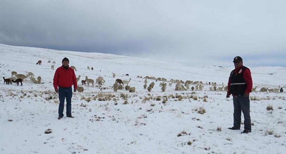 El centro poblado de Mazocruz, en Puno, sigue soportando bajas temperaturas, las más extremas de la temporada, según el Senamhi. (Foto: Agencia Andina)