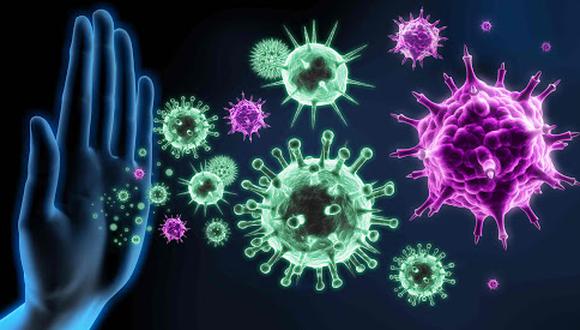 La inmunidad es el conjunto de mecanismos que nos protegen de las infecciones. (Foto: Shutterstock)