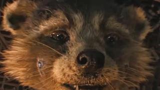 ‘Guardianes de la Galaxia 3′ y James Gunn fueron premiados por PETA tras visibilizar la crueldad animal