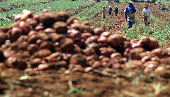 Invertirán S/.2.000 mlls. en planta de fertilizantes en Piura