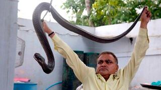 El hombre serpiente de India, más de 200 mil reptiles rescatados en 30 años de oficio