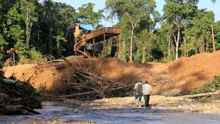 Desafíos 2019 en Perú: más de 23 mil delitos ambientales por resolver
