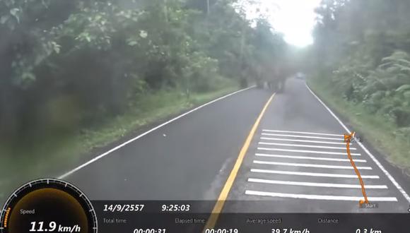 VIDEO: Una manada de elefantes persigue a este motociclista