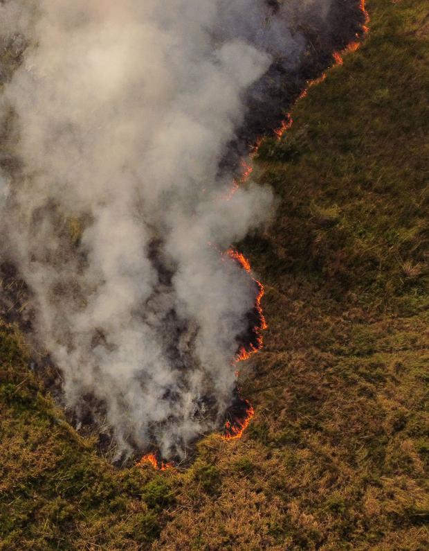 Una vista del incendio forestal que se ha extendido por más de 500.000 hectáreas en la norteña provincia de Corrientes, Portal San Antonio, Argentina. (REUTERS/Sebastián Toba). 