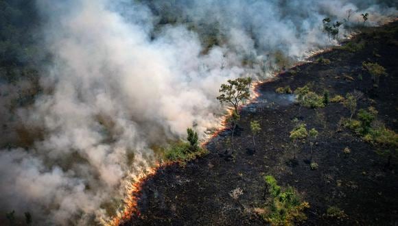 Vista aérea de un área quemada en la selva amazónica, cerca de la Reserva de Extracción Lago do Cunia, en la frontera de los estados de Rondonia y Amazonas, norte de Brasil, el 31 de agosto de 2022. (Foto: DOUGLAS MAGNO / AFP)