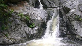 Cerros de Amotape, un destino poco conocido en Piura y Tumbes | FOTOS