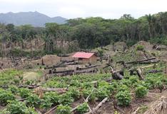 Bolivia: deforestación y narcotráfico arrasan bosque del parque Amboró
