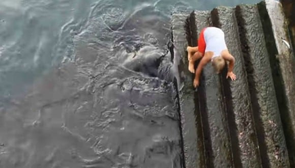 Un inocente niño se encontraba jugando cerca de la orilla de una playa cuando una imponente criatura emergió de las profundidades del mar. El video es viral y ha sido visto por millones de usuarios en Facebook