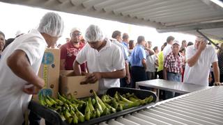 El Salvador busca salir de la agricultura de subsistencia