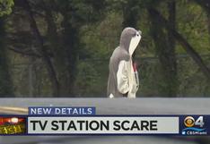 EEUU: hombre vestido de panda amenaza con bomba en estación de TV