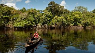 COP 21: ¿Qué tan ambicioso es el compromiso ambiental del Perú?