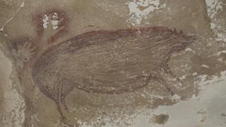 La pintura rupestre más antigua del mundo: lo que se sabe sobre el asombroso hallazgo 
