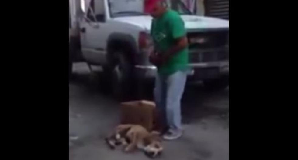 Indignante maltrato a perro en México. (Foto: Captura YouTube)
