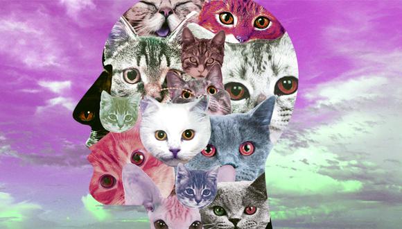 Nosotros en los gatos, por A. Huerta-Mercado