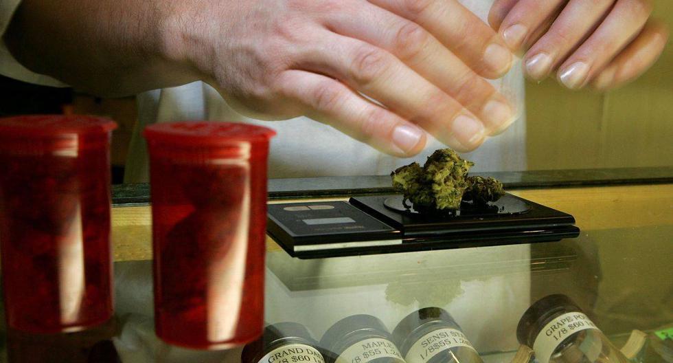 En Colombia el cannabis se legalizó a finales de 2015 para uso medicinal. Foto referencial. (AFP)