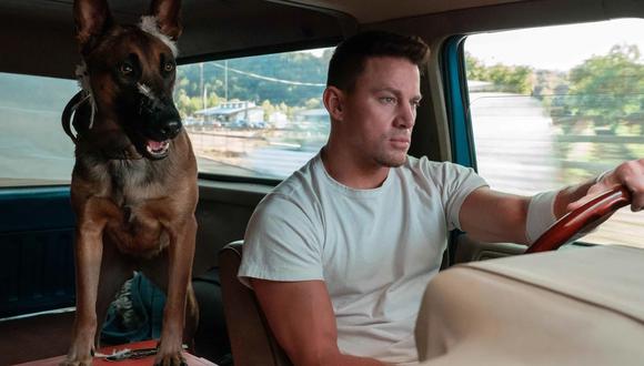Channing Tatum protagoniza y dirige "Dog: un viaje salvaje", película actualmente en cartelera local.