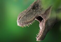 Encuentran huellas de dinosaurio de hace 100 millones de años en este de China 