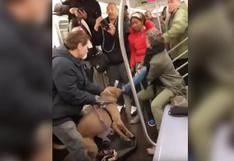 Inquietante momento en que pitbull muerde a mujer en metro de Nueva York
