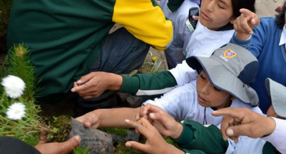 Por el Día Mundial de la Tierra, este sábado 22 de abril, se realizan actividades educativas y recreativas en los clubes zonales y parques metropolitanos de Lima. (Foto: Andina)