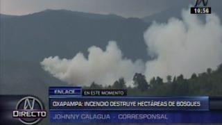 Incendio forestal en Oxapampa lleva tres días sin ser controlado