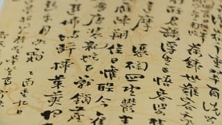 Familia de lenguas sinotibetanas se originó hace 7.200 años en norte de China