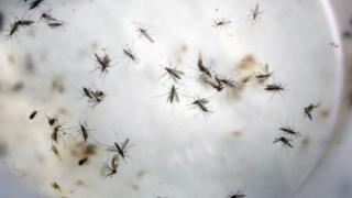 Colombia: Cifra de infectados por zika sube a 61.393