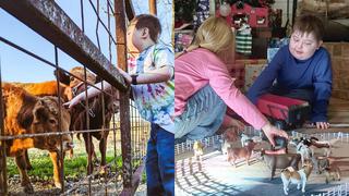 El niño de 8 años que supera junto a su amada vaca un trasplante de corazón y 453 días en un hospital