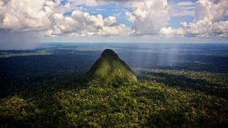 Perú: siete años de prisión para empresario que construyó carretera que atraviesa parque nacional en la Amazonía