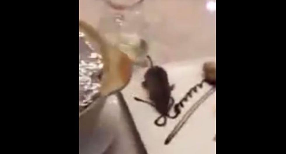 Este indeseable hecho ocurrió en un restaurante de China (YouTube)