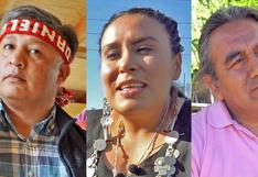 Tres mapuches exitosos en negocios que rompen estereotipos en Chile