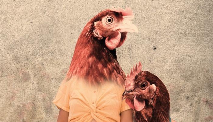 "Todas las gallinas vuelan", de Rocío Limo