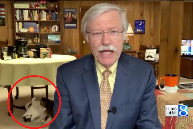 Un meteorólogo se convirtió en una celebridad en Internet no por sus precisos reportes del clima sino por sus gatos peleoneros. (Fotos: WOOD TV8 en YouTube)