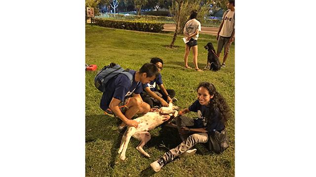 WUF y San Borja facilitan la adopción de perros - 5