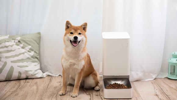 Xiaomi lanza comedero y bebedero inteligentes con los que puedes alimentar a tu mascota desde tu celular. (Foto: Xiaomi)