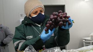 Productores peruanos de uva y cítricos podrán exportar a Argentina desde este año