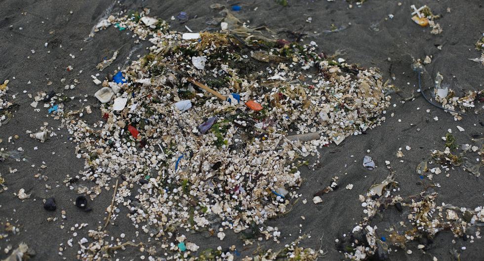 Gino Passalacqua Walter, oceanógrafo y asesor científico de Save The Waves Coalition, explicó que el tecnopor se torna amarillento cuando es expuesto al sol. Asimismo, suele acumular algas y más partículas del mar (Foto: César Bueno).