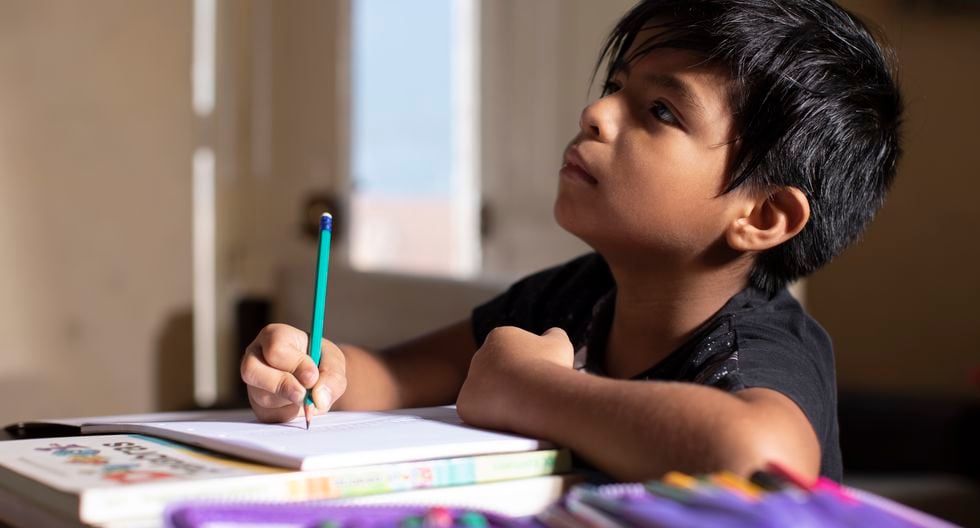 Las clases presenciales quedaron suspendidas a nivel nacional debido a la pandemia del coronavirus. Pero hace una semana comenzaron clases virtuales o no presenciales. (Foto: GEC)