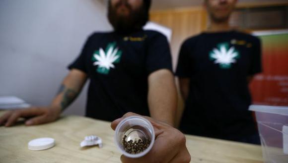 Chile inicia cultivo de marihuana con fines medicinales