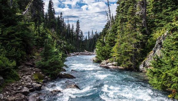 El estudio publicado esta semana en la revista Nature concluye que únicamente 37% de los 246 ríos que superan los 1.000 km son todavía "de corriente libre". (Foto: Pixabay)