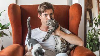 Locos por los gatos: cómo las redes sociales han roto prejuicios sobre tener gatos en casa