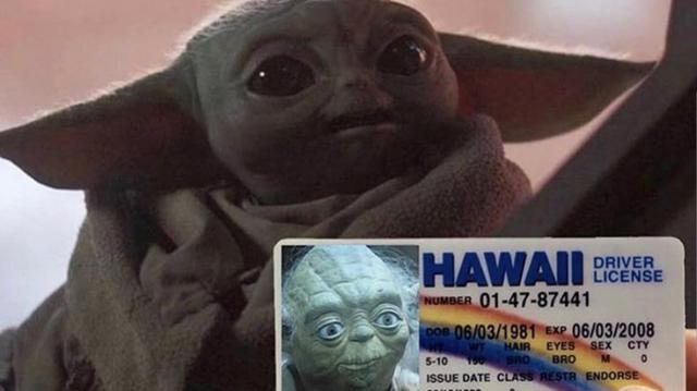 A sus 50 años, el bebe Yoda no debería necesitar una identificación falsa. Ese y otros "memes" del personaje se han vuelto una sensación en redes. (Foto: Difusión)