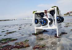 Bobelto, un robot submarino hecho por estudiantes para investigar el mar peruano | VIDEO