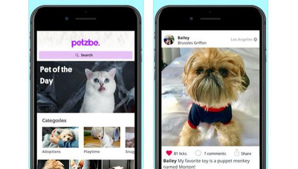 Petzbe es la nueva app para mascotas, una red social para perros y gatos idéntica a Instagram.